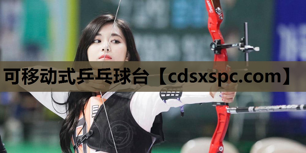 可移动式乒乓球台