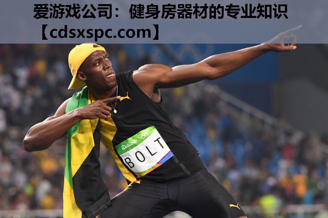 爱游戏公司：健身房器材的专业知识
