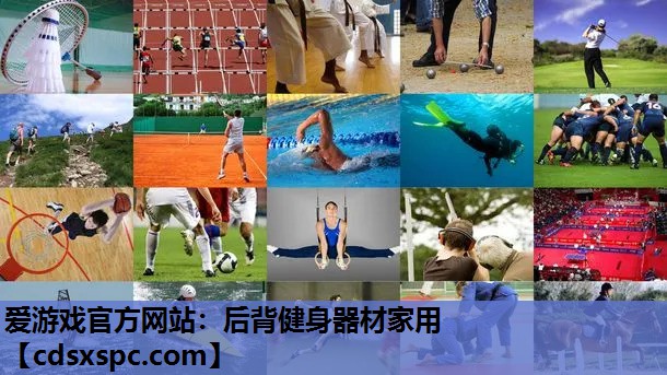 爱游戏官方网站：后背健身器材家用