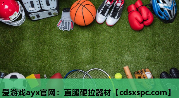 爱游戏ayx官网：直腿硬拉器材