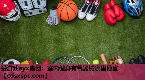爱游戏ayx集团：室内健身有氧器械哪里便宜