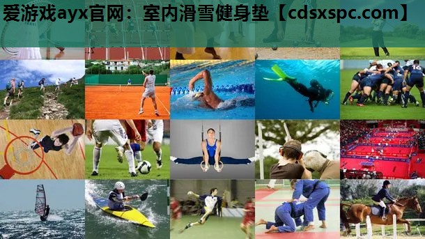 爱游戏ayx官网：室内滑雪健身垫