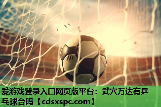 爱游戏登录入口网页版平台：武穴万达有乒乓球台吗