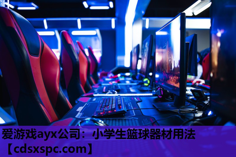 爱游戏ayx公司：小学生篮球器材用法