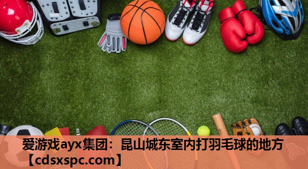 爱游戏ayx集团：昆山城东室内打羽毛球的地方