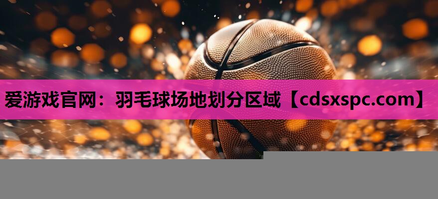 爱游戏官网：羽毛球场地划分区域