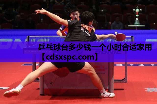 乒乓球台多少钱一个小时合适家用