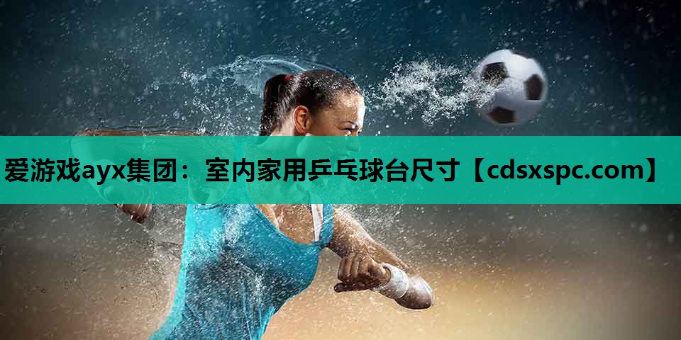 爱游戏ayx集团：室内家用乒乓球台尺寸
