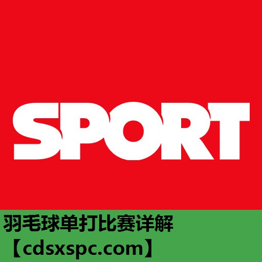 羽毛球单打比赛详解