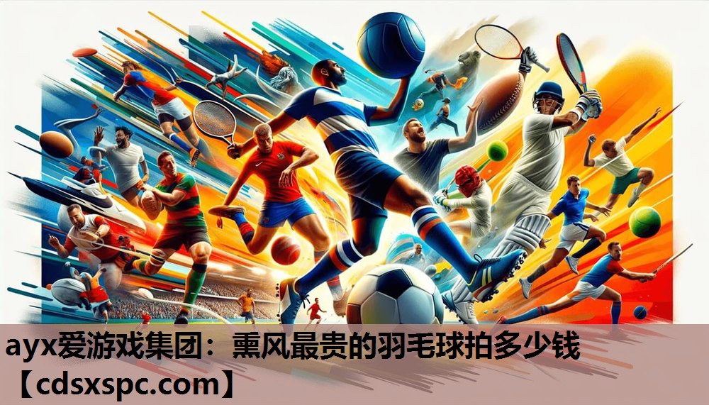ayx爱游戏集团：熏风最贵的羽毛球拍多少钱