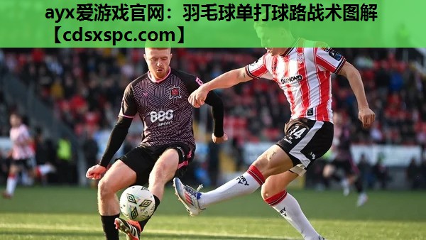 ayx爱游戏官网：羽毛球单打球路战术图解