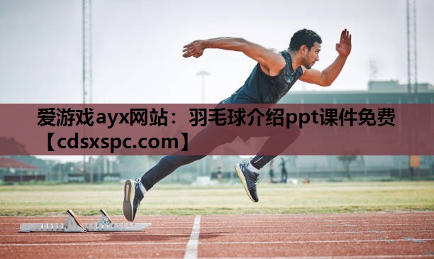 爱游戏ayx网站：羽毛球介绍ppt课件免费