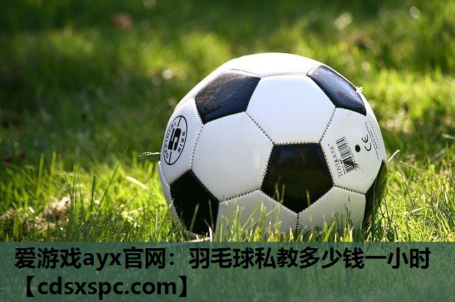 爱游戏ayx官网：羽毛球私教多少钱一小时