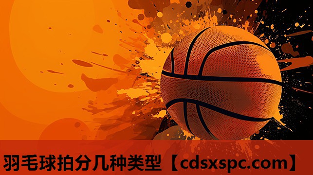 羽毛球拍分几种类型