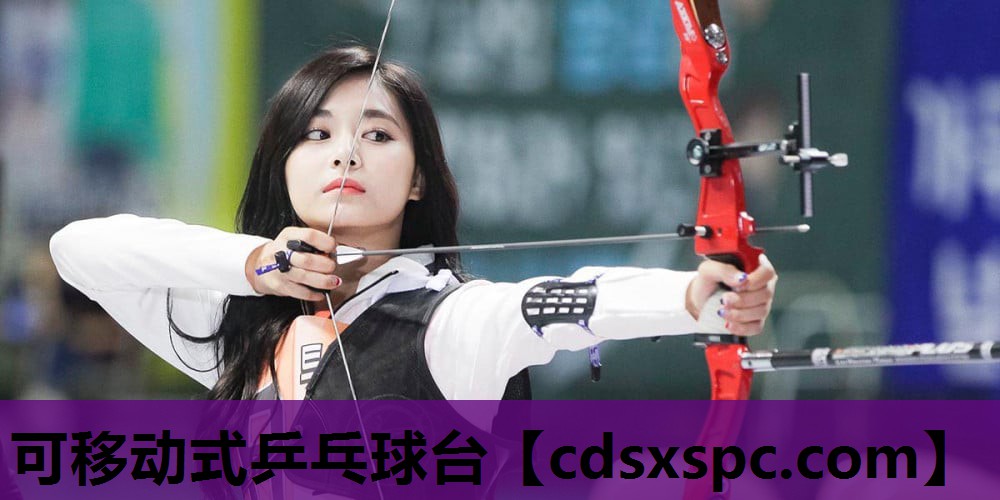 可移动式乒乓球台