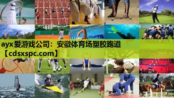 安徽体育场塑胶跑道