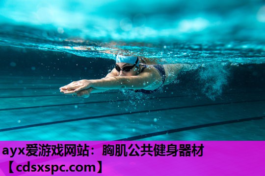 胸肌公共健身器材