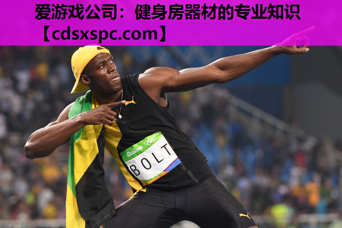健身房器材的专业知识