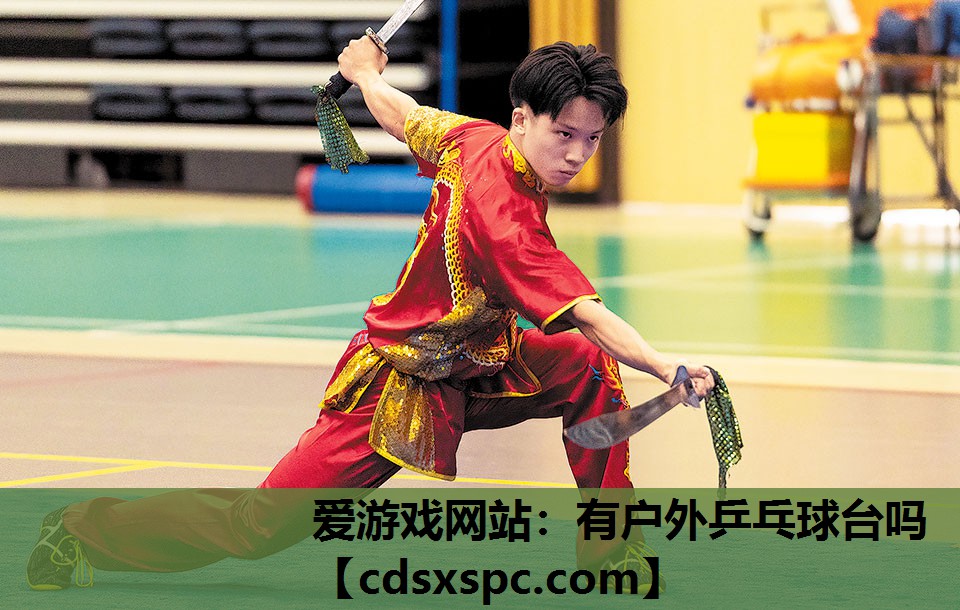 有户外乒乓球台吗