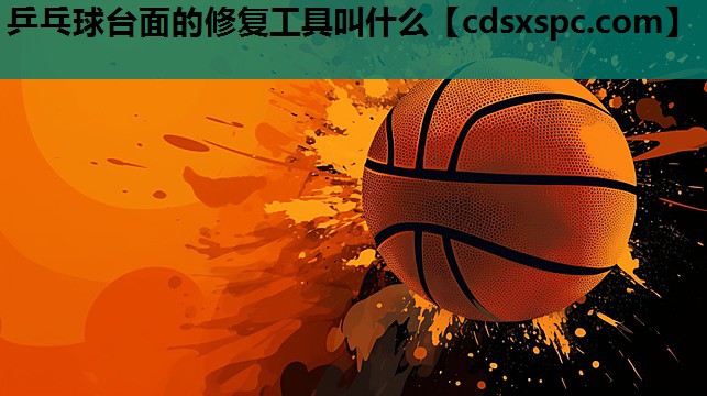 乒乓球台面的修复工具叫什么