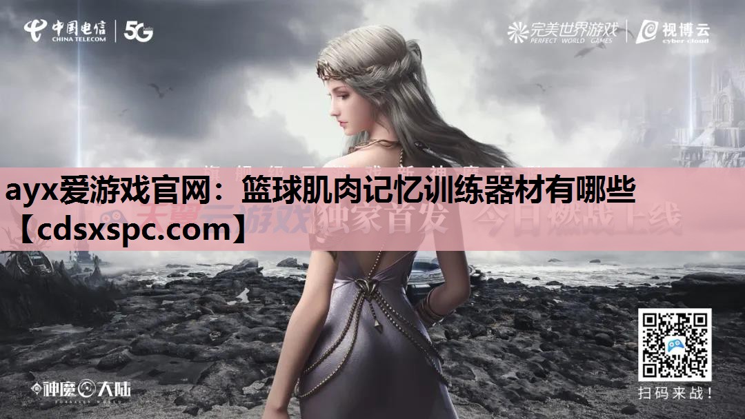 篮球肌肉记忆训练器材有哪些