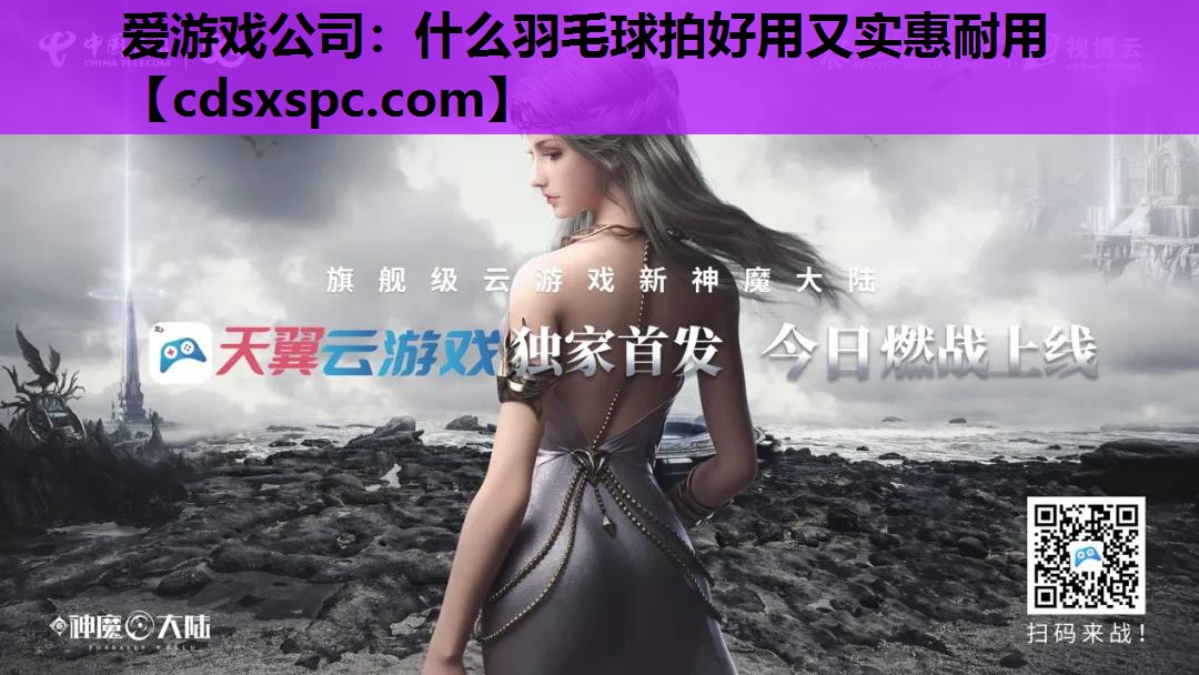 什么羽毛球拍好用又实惠耐用