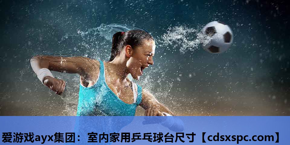 室内家用乒乓球台尺寸