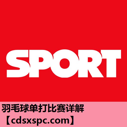 羽毛球单打比赛详解
