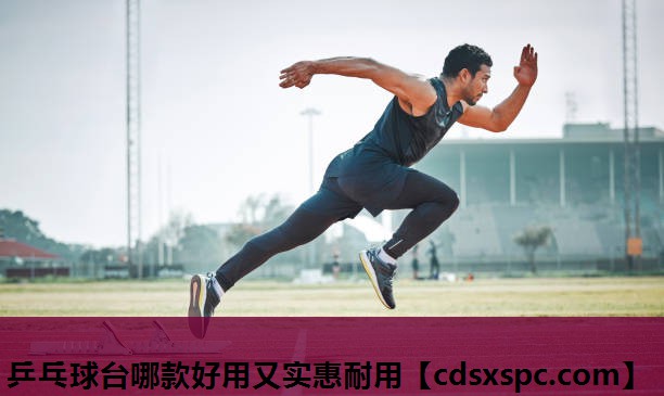 乒乓球台哪款好用又实惠耐用