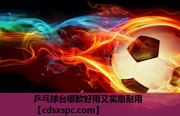 乒乓球台哪款好用又实惠耐用