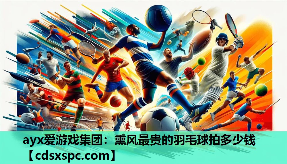 熏风最贵的羽毛球拍多少钱