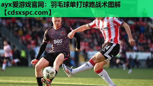 羽毛球单打球路战术图解