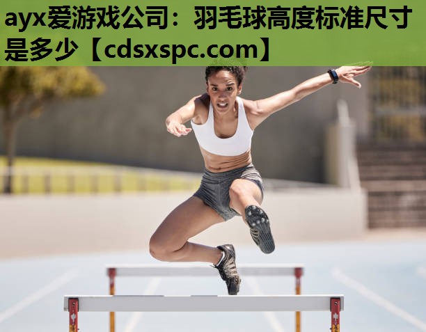 羽毛球高度标准尺寸是多少