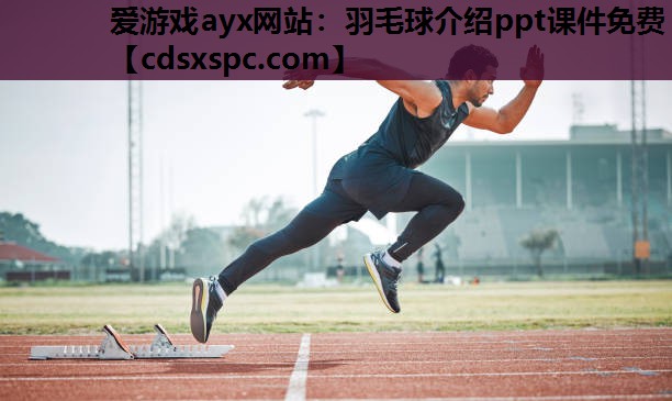 羽毛球介绍ppt课件免费
