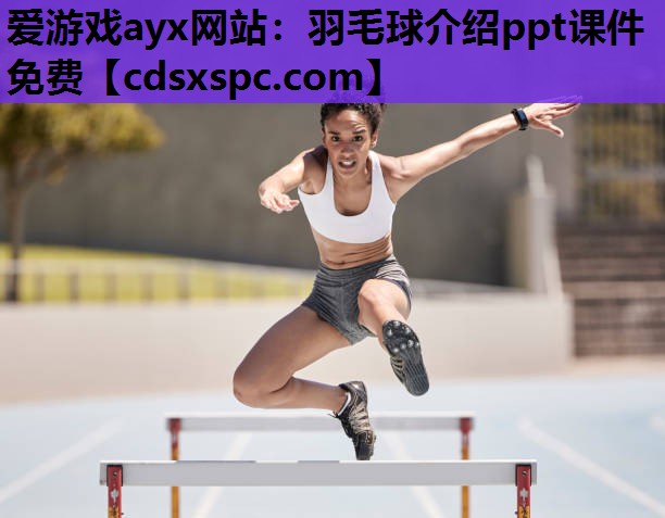 羽毛球介绍ppt课件免费