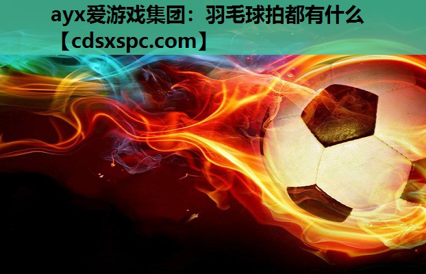 羽毛球拍都有什么