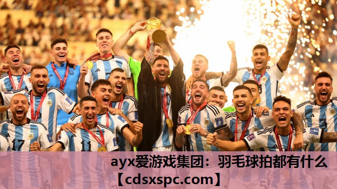 羽毛球拍都有什么