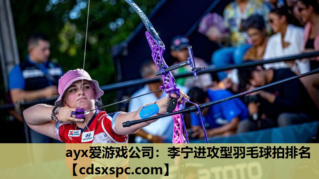 李宁进攻型羽毛球拍排名