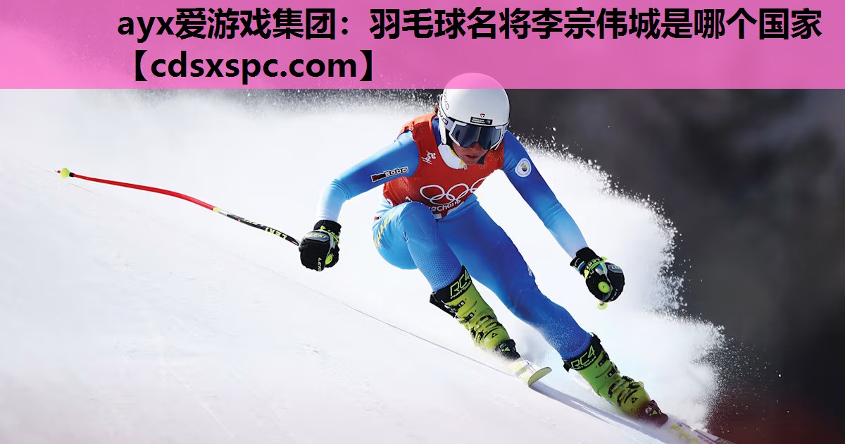 羽毛球名将李宗伟城是哪个国家