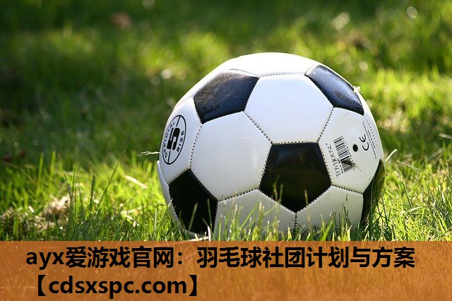 羽毛球社团计划与方案