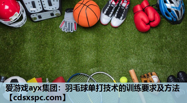 羽毛球单打技术的训练要求及方法