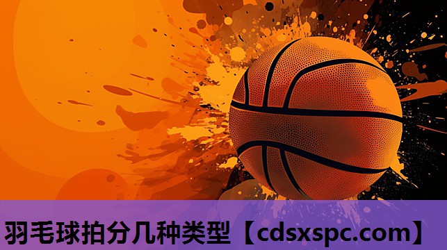 羽毛球拍分几种类型