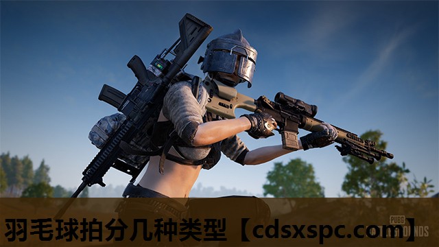 羽毛球拍分几种类型